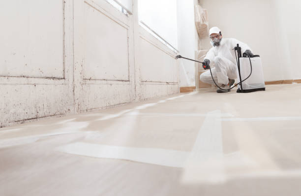 24/7 Emergency Black Mold Remediation experts in Gainesville, FL